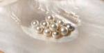 pearls on a shell